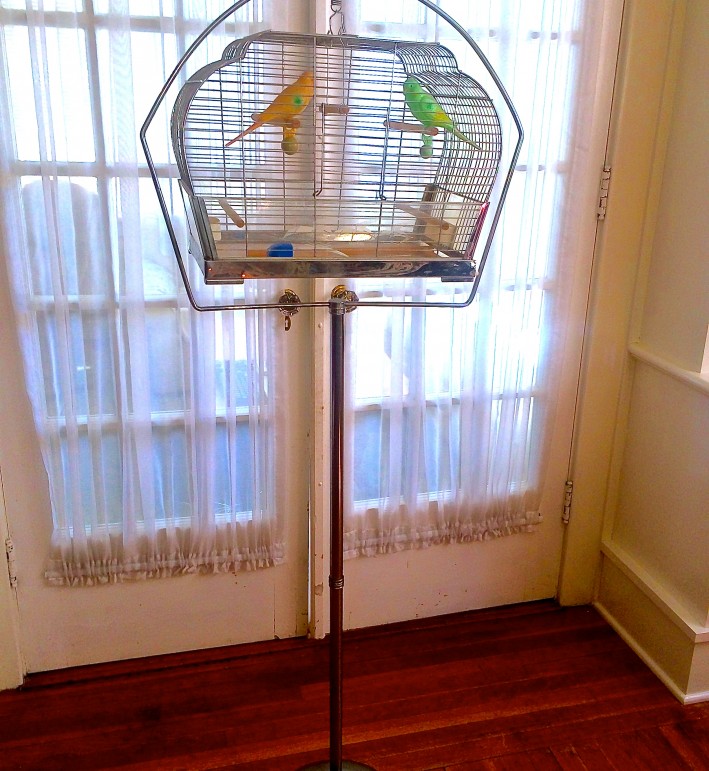 Antique Pedestal Bird Cage